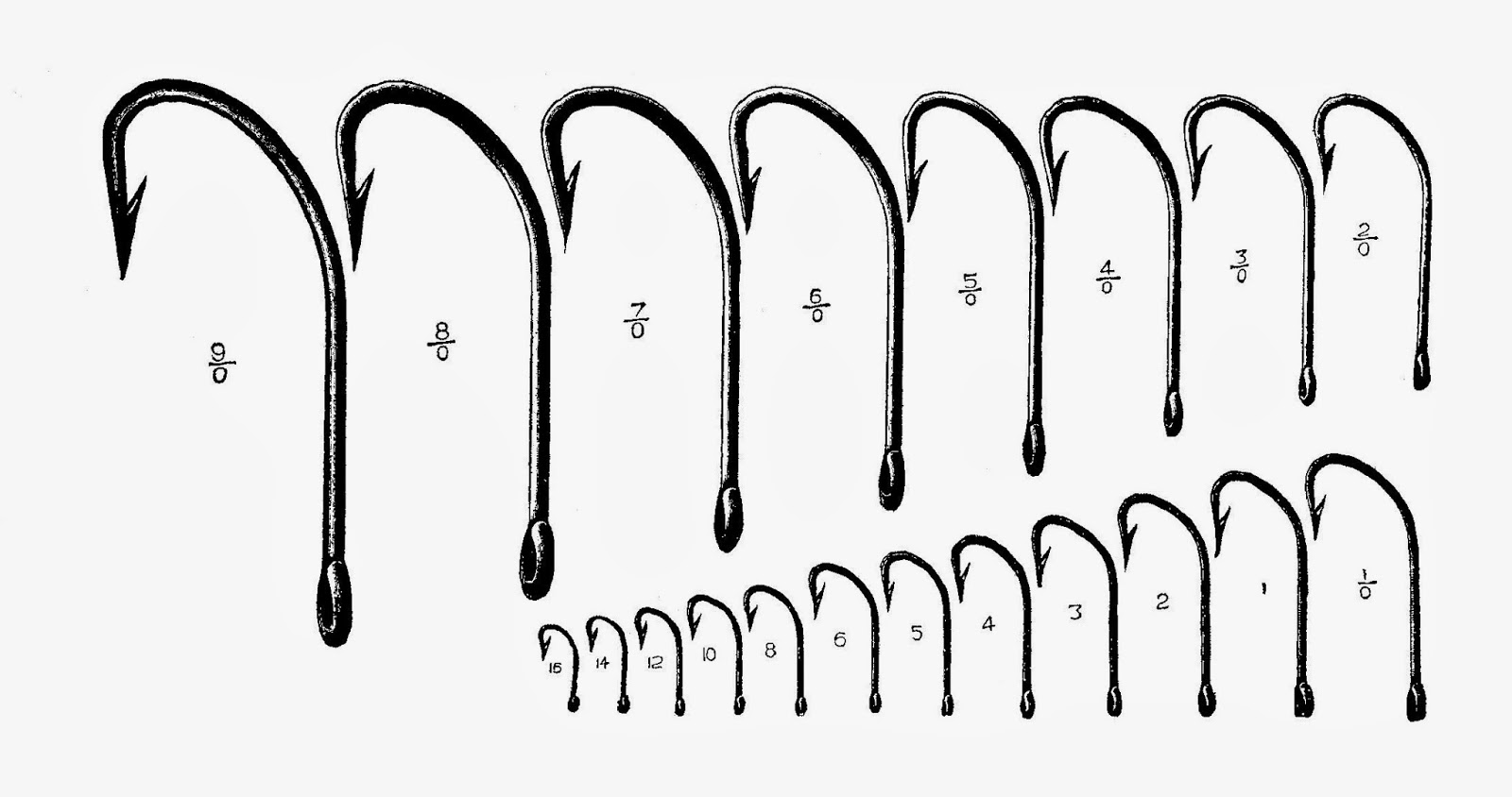 Printable Fish Hook Size Chart Printable Word Searches