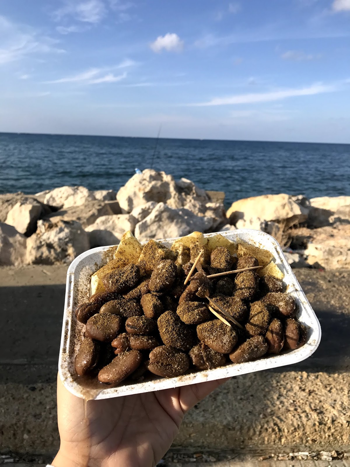 Lebanon Food Tour for a real Lebanese experience