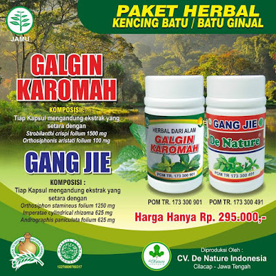 obat batu ginjal