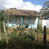 Vende-se uma propriedade rural entre Angico e Alagoinhas
