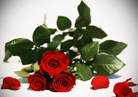 Red Rose
