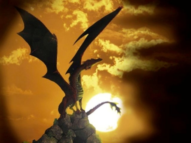 Библиомания: 2011