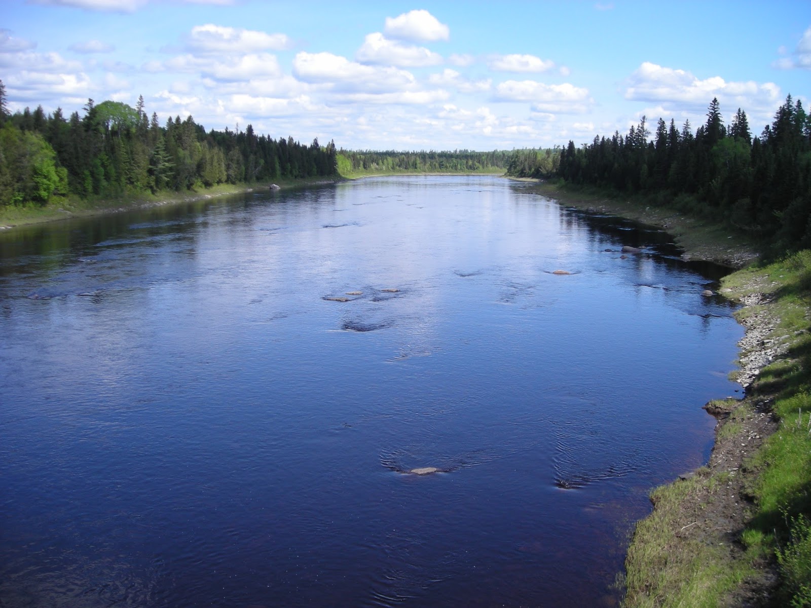 Saint Johns River Facts and Interesting Historical Information