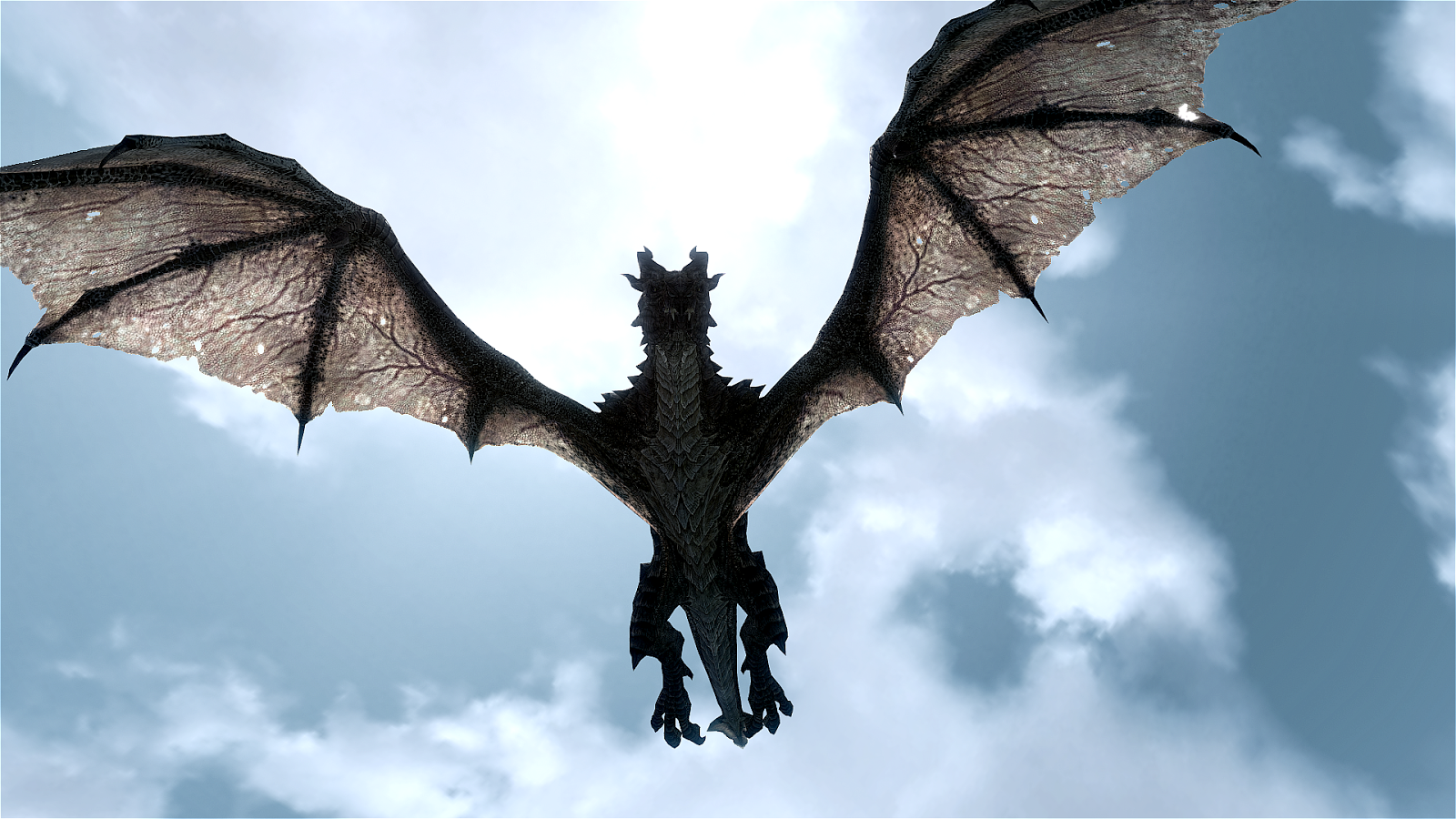 Our expert takes on your burning dragon questions - News