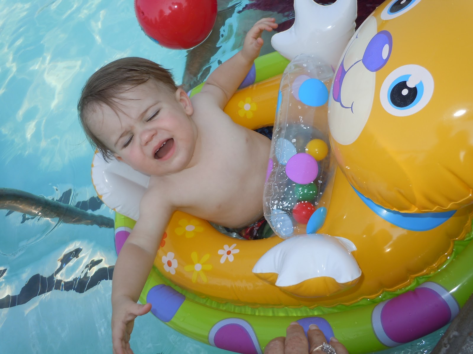 The Isham's: First dip in the pool this summer