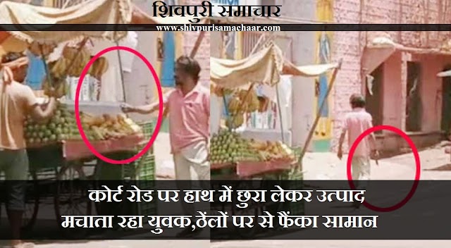 कोर्ट रोड पर हाथ में छुरा लेकर उत्पात मचाता रहा युवक, ठेलों पर से फेंका सामान - Shivpuri News