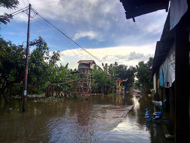 Pasukan Pat-pat Dibalik Terpaan Banjir : Kutu Air, hingga Panen Raya Ikan Mujair