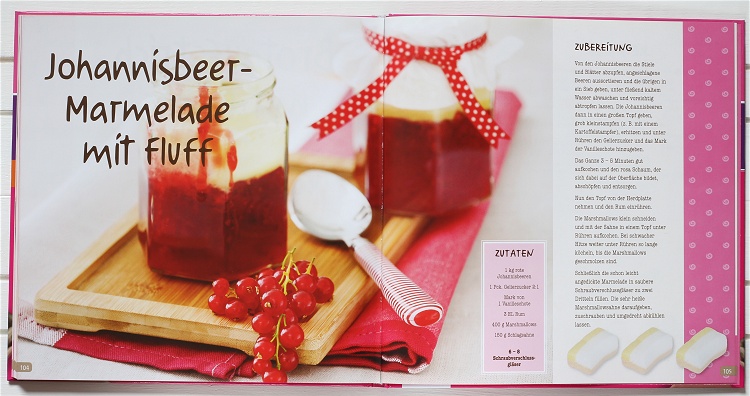 Buchvorstellung/Rezension Backen mit Schokoriegeln von Janny Hebel 5