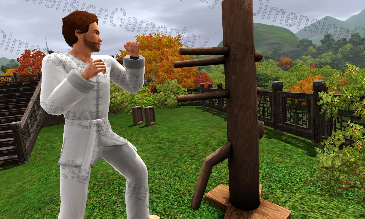 Martial Arts Master | Sims 3 Guide