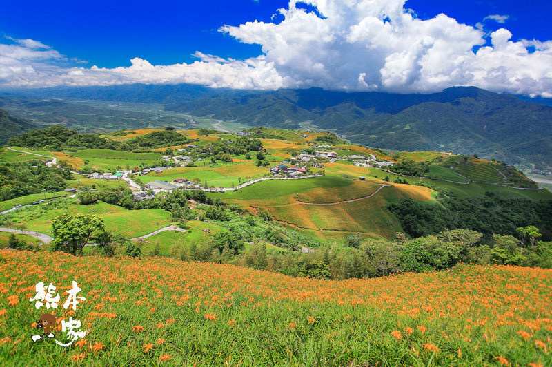 六十石山金針花季|金針花季時間|俯覽花東縱谷絕佳觀景區|台灣小瑞士|六十石山金針花季建議交通住宿民宿資訊