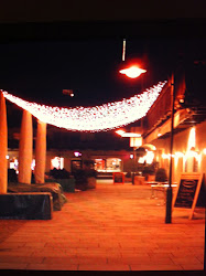 string lights canopy barnes andrew lifestyle entrance