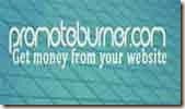 Bisnis Online dari blog menggunakan PromoteBurner 
