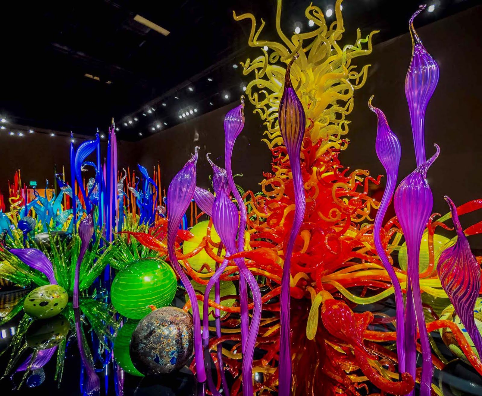 Chihuly Glass Gardens