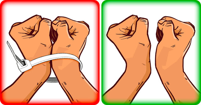 11 Pertahanan Kehidupan Yang Perlu Anda Ketahui | Survival Life Hack 11 Pertahanan Kehidupan Yang Perlu Anda Ketahui | Survival Life Hack