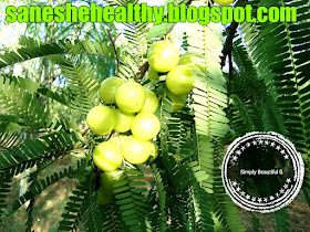 Indian gooseberry or amla contains ascorbic acid.