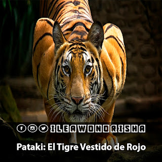 el tigre vestido de rojo el-tigre-vestido-de-rojo