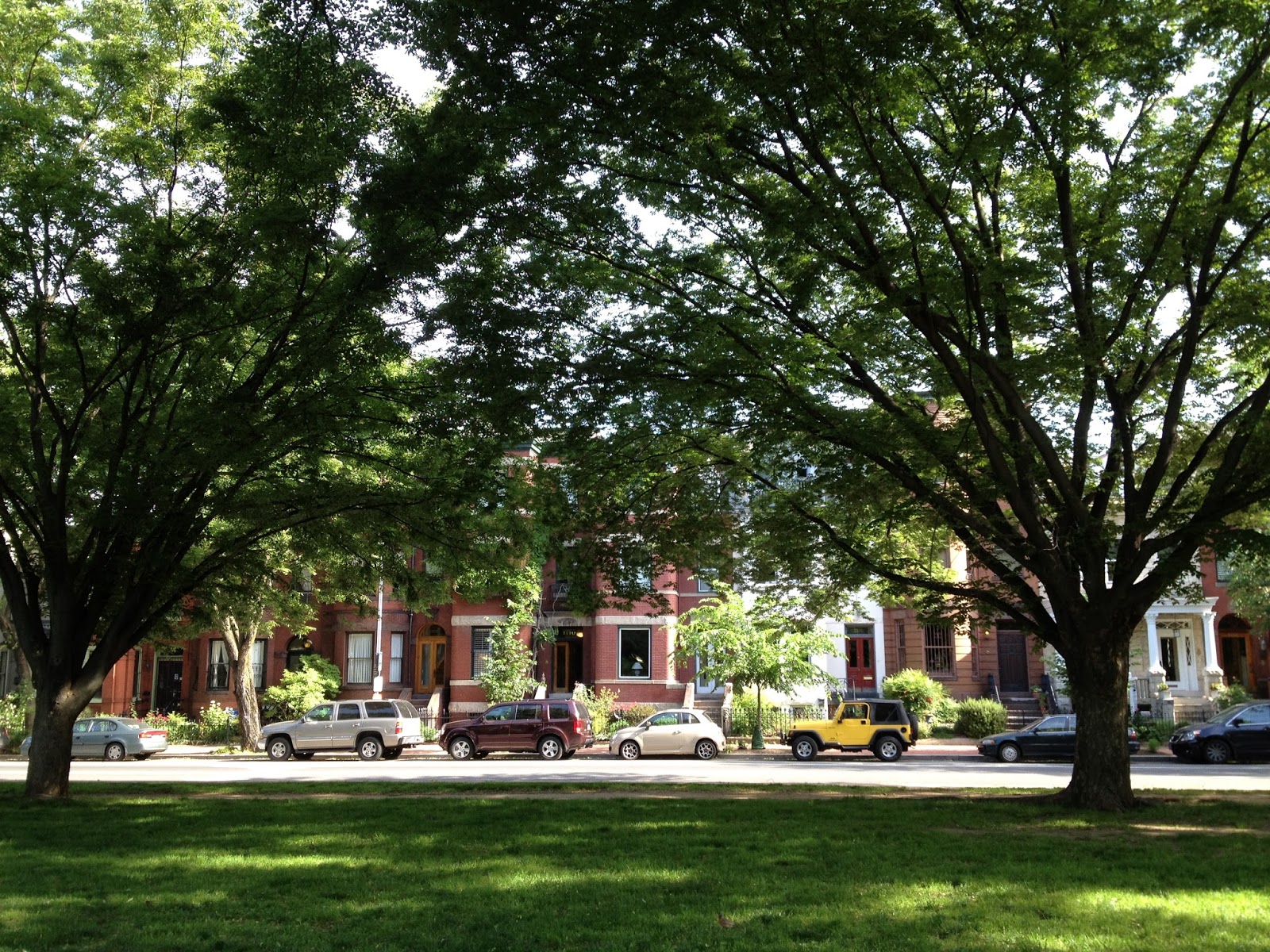 Ladies in Cities Lincoln Park, Capitol Hill Genevieve