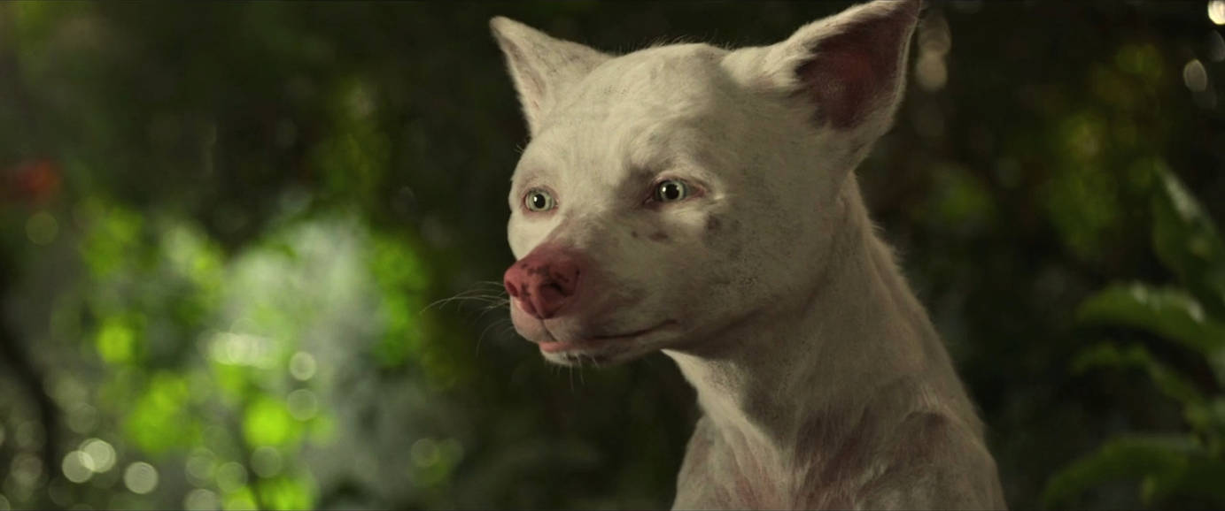 Mowgli La leyenda de la selva (2018) HD 1080p Latino 