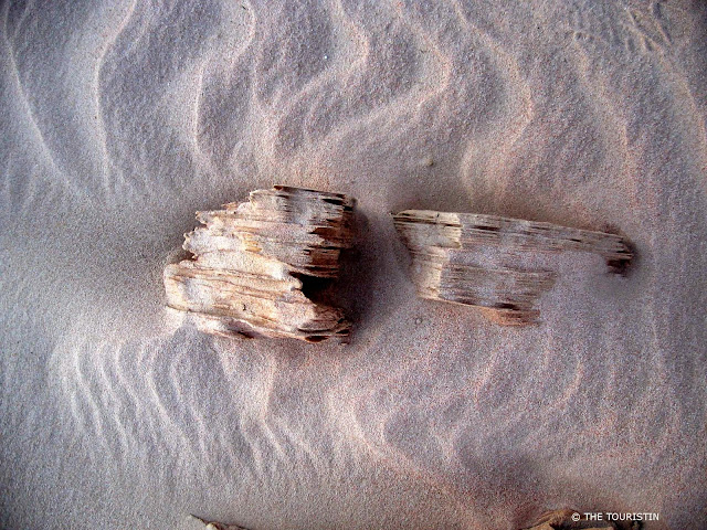 A piece of wood in drifting sand.