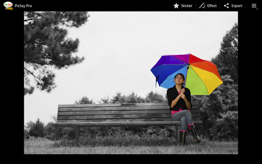 Download PicSay Pro v1.7.0.5 Apk Terbaru