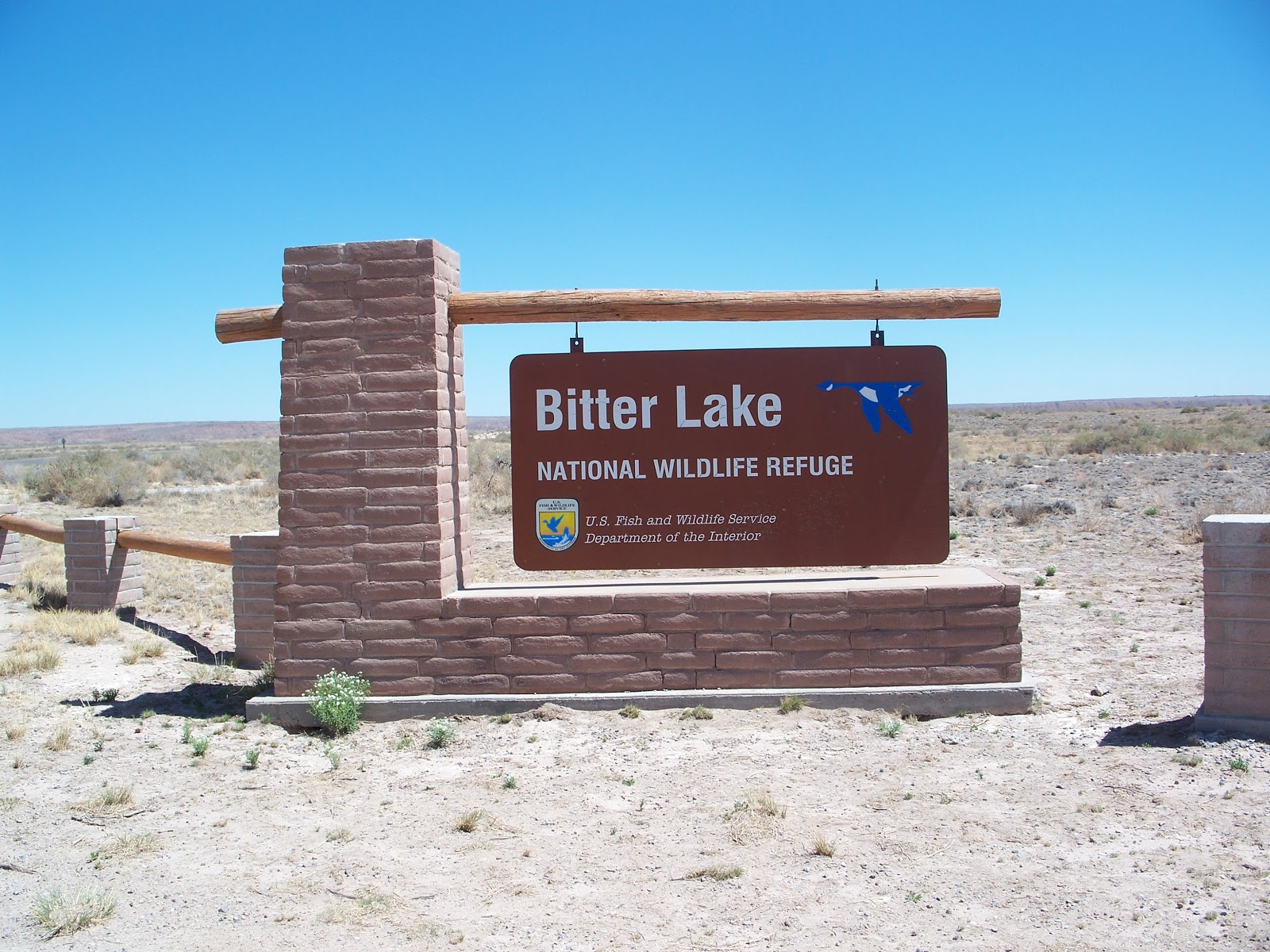 The Road Bitter Lake National Wildlife Refuge