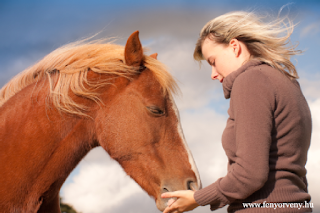 Miért szeretjük a lovakat és miért ők az ember legjobb barátai?