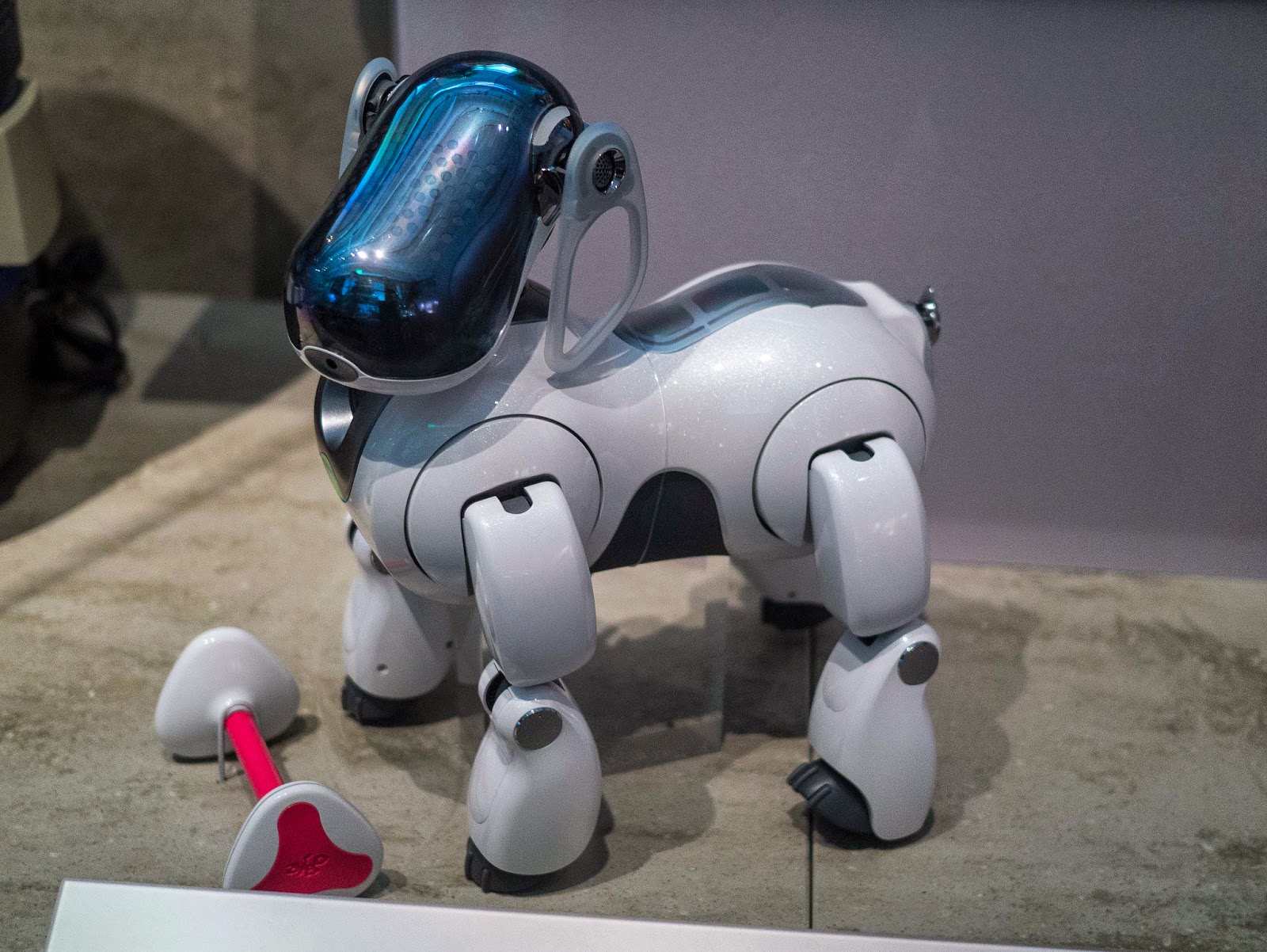 Игрушка интерактивная 1toy robo pets "робо-щенок" (mini), голубой. Робот собака айбо ers 1000. Робот-собака. Робот собака wowwee chip. Робот sony aibo.