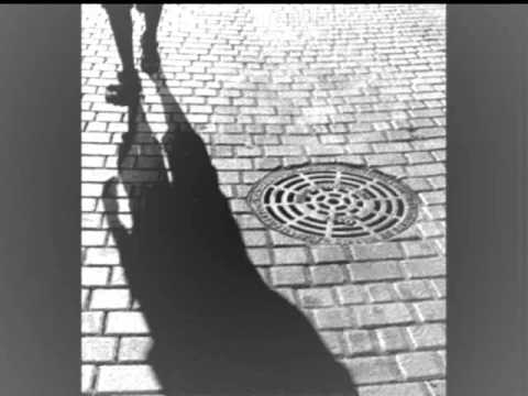 Diente De León Club De Lectura Donde Surgen Las Sombras