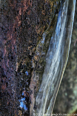 Photo Graphie glacée, Fontainebleau Photo Graphie glacée, Fontainebleau