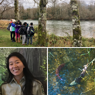 A collage of three photos, with the top horizontal photo featuring a group of children looking over a river with binoculars. Bottom left is a photo of WCC IP Kelsey Chun, bottom right is a photo of salmon swimming in a river with sunlight shining through.