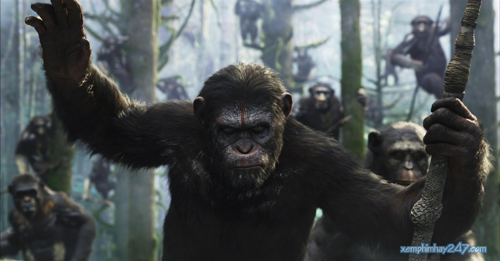 Sự Khởi Đầu Của Hành Tinh Khỉ (2014) - Thuyết minh - Dawn Of The Planet Of  The Apes (2014) - Gary Oldman, Andy Serkis, Keri Russell - Xem phim hay 247