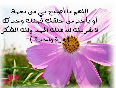 img_1392730628_630