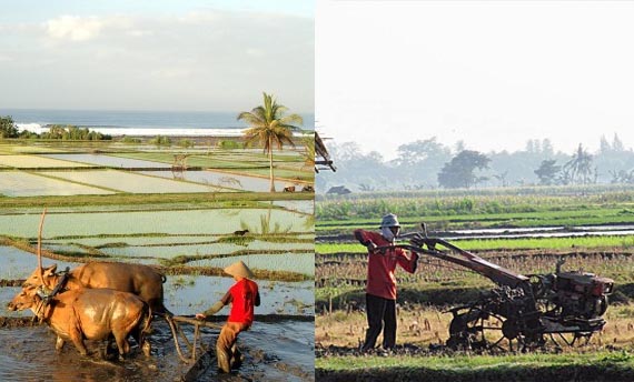 Contoh Perubahan Sosial Contoh Perubahan Sosial