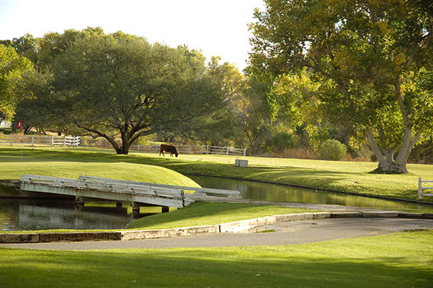 Tubac Golf Resort Restaurant Menu Tubac Golf Resort Restaurant Menu