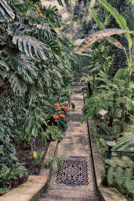 Real Jardín Botánico - Madrid Real Jardín Botánico - Madrid