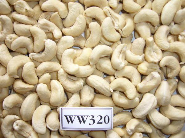 Cashew Nuts for sale