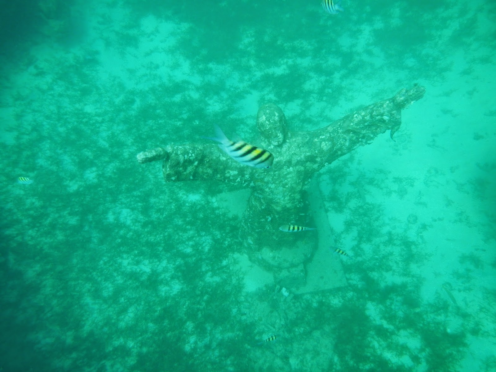 Snorkeling in Grenada