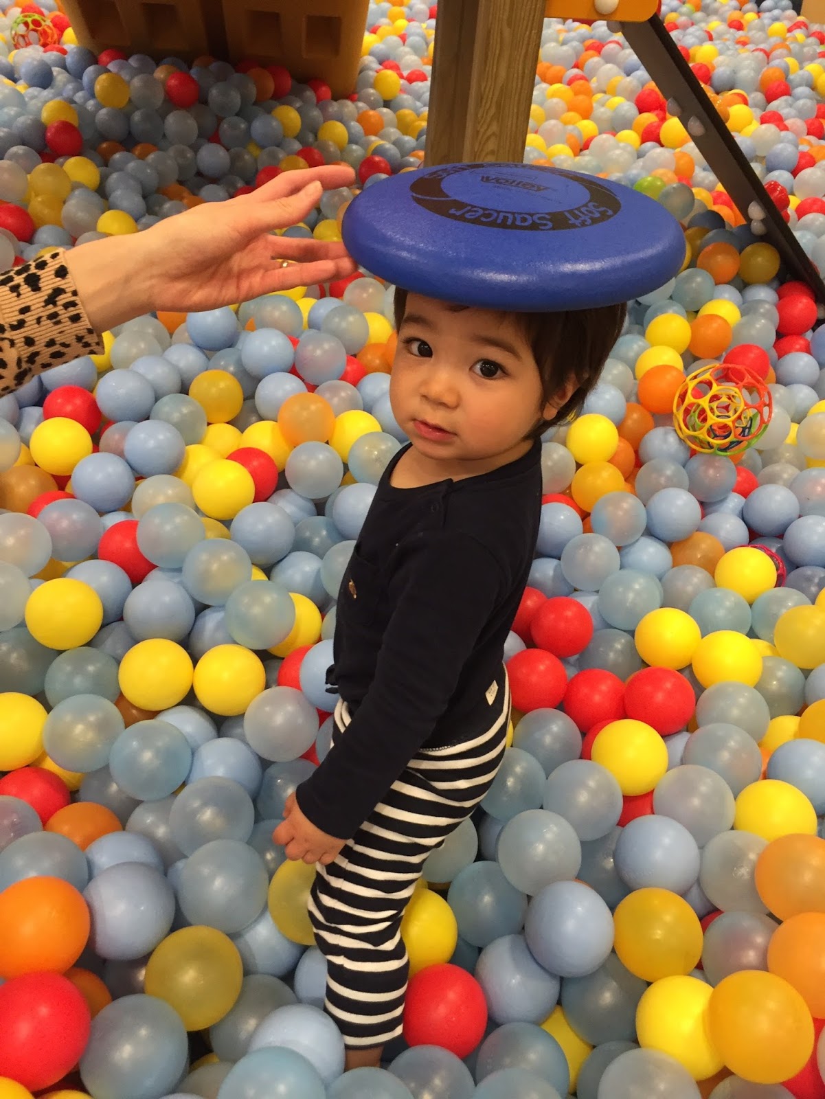 Ayaのアブダビ生活 ゆいちゃんとカエディ