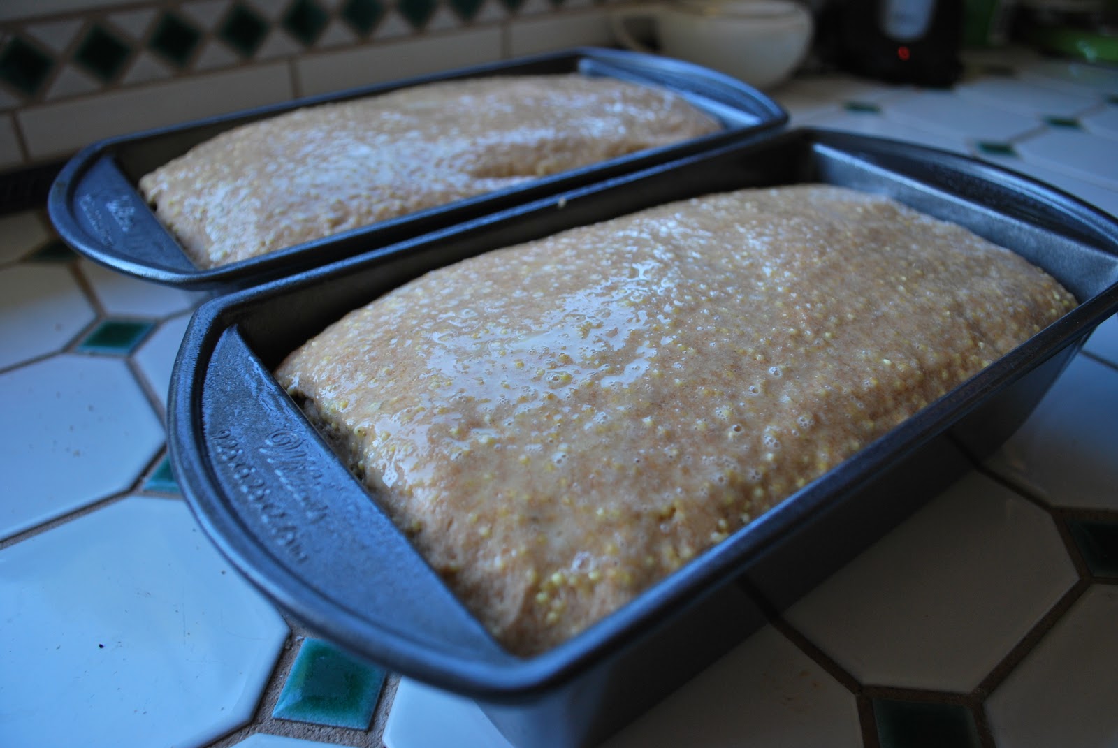 Cooks from Books Day 42 Millet Bread