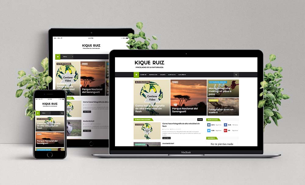 Diseño Web de Pinceladas de la Naturaleza