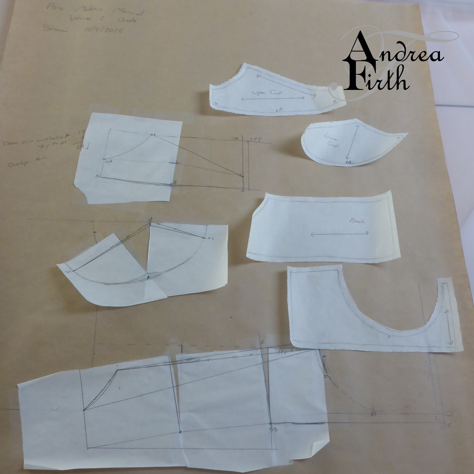 Obsessive Creativeness: Lingerie: Making Bra Patterns is more fun with ...