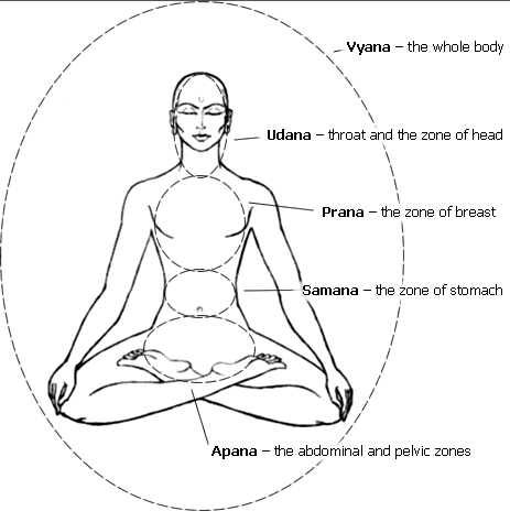 Cluster of Thoughts: Science of Mudras: Zero Budget Health and Life ...