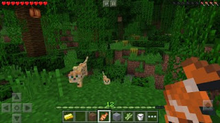 Minecraft Pocket Edition Mod Apk v1.2.13.6 (Unlock Premium Skins) Minecraft Pocket Edition Mod Apk v1.2.13.6 (Unlock Premium Skins)