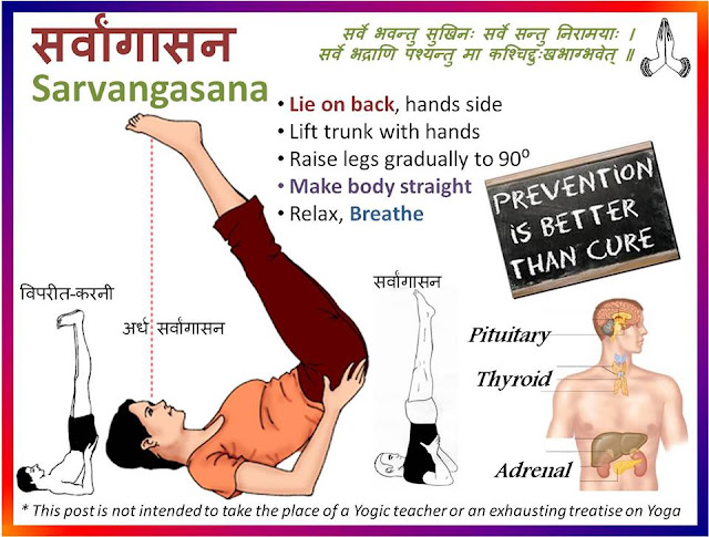Yoga-Sarvangasana