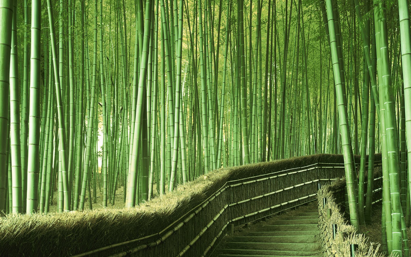 Bamboo Wallpaper: Bamboo Textured Wallpaper