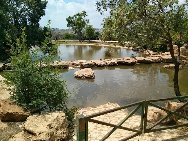 גן הורדים גן הורדים