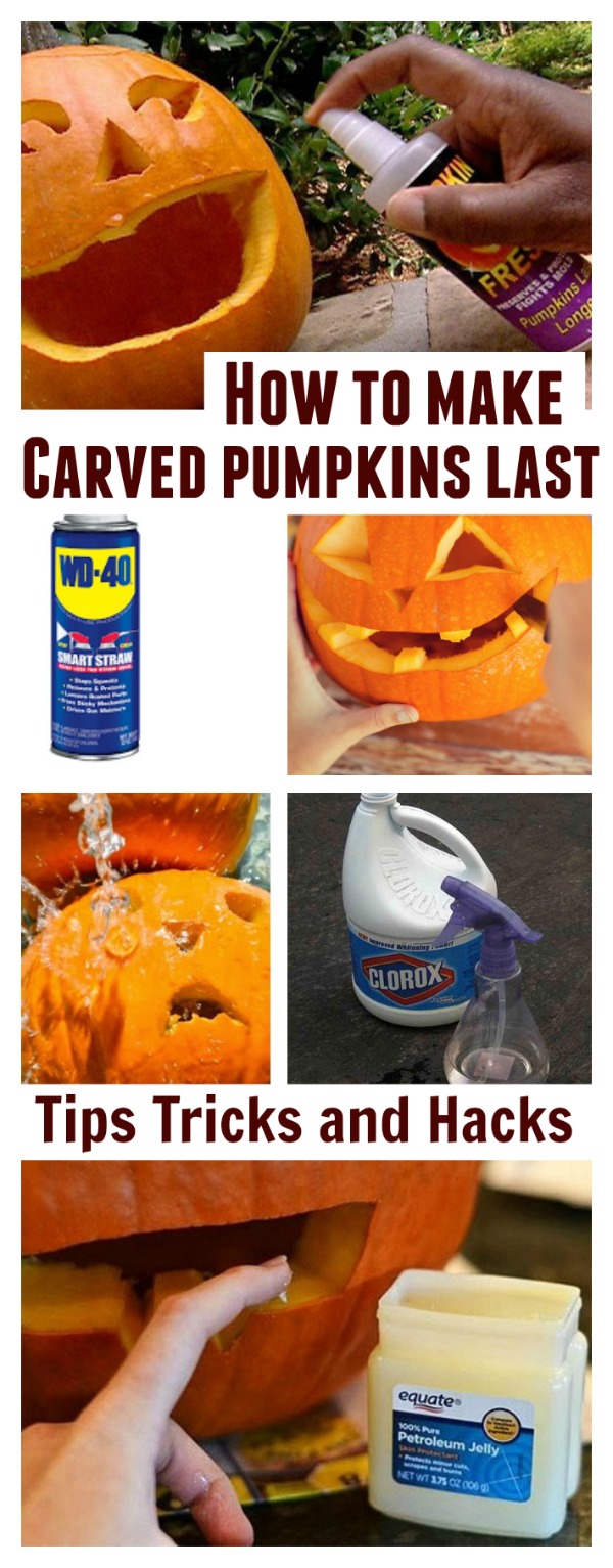 Tips & tricks to make carved pumpkins last for weeks! No more rot!