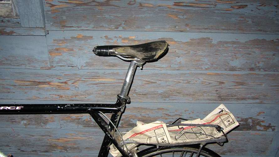 Life among the Tall Pines Bad bicycle seat