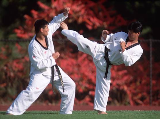 Karate moves