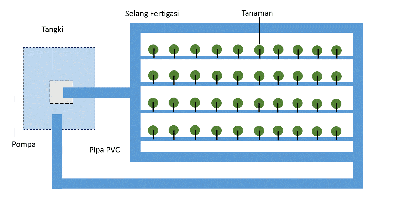 Panduan Pembuatan dan Perawatan Hidroponik Drip (Irigasi Tetes) / Fertigasi